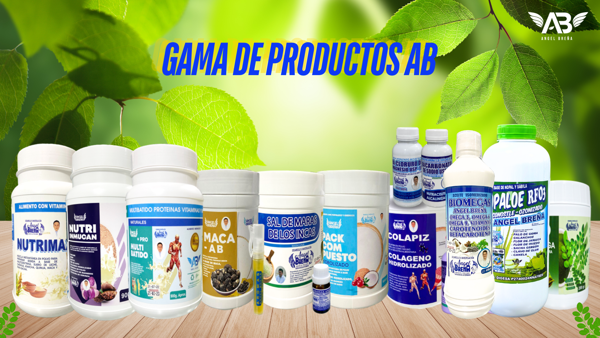 ver.2.presentaciÓn de negocios ab 2025 (10)